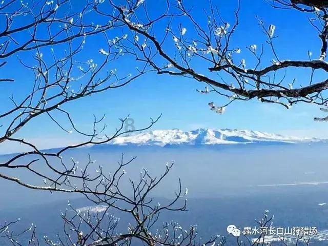 球球大作战下载最新版